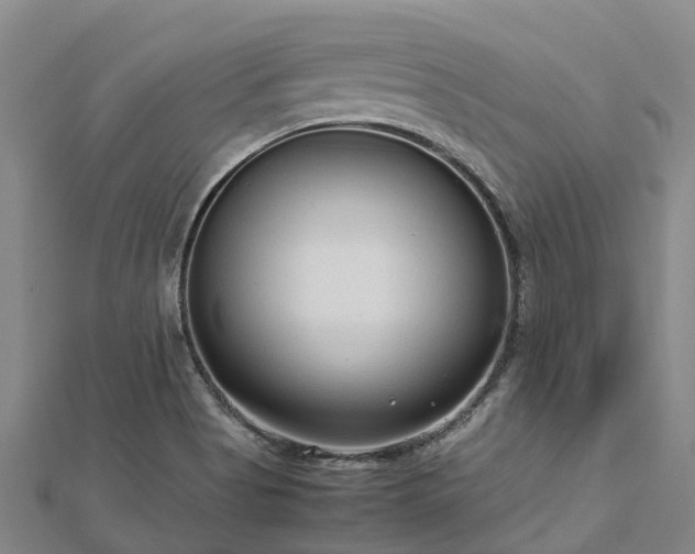 X0000113011513200909031303