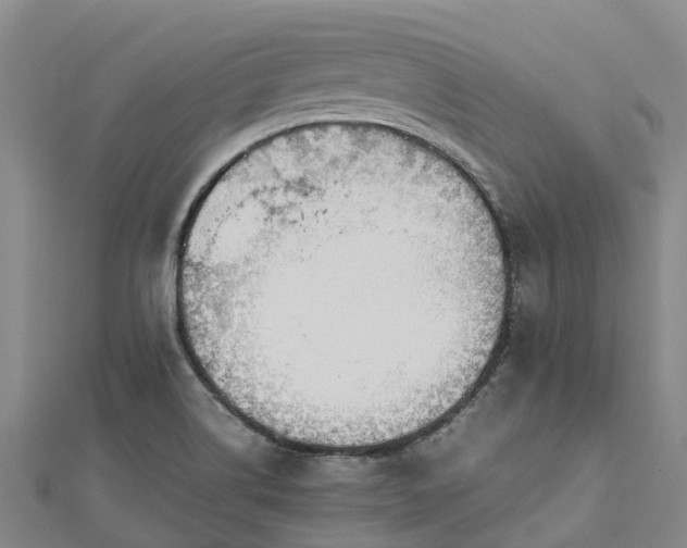 X0000113011514200909031303