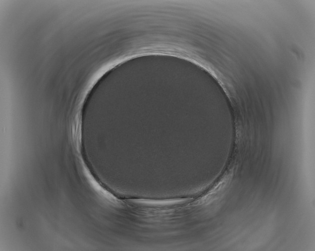 X0000113011515200909031303