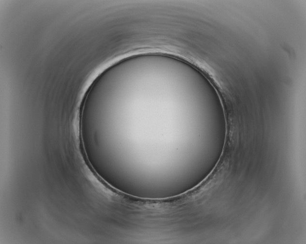 X0000113011516200909031303