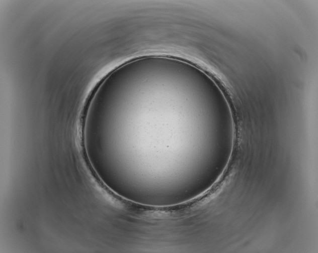 X0000113011517200909031303