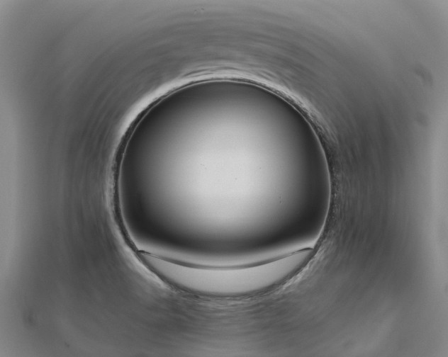 X0000113011518200909031303