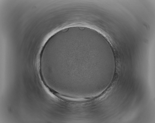 X0000113011519200909031303