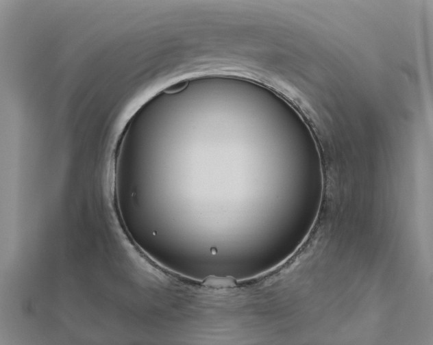 X0000113011520200909031303