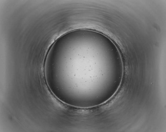 X0000113011521200909031303