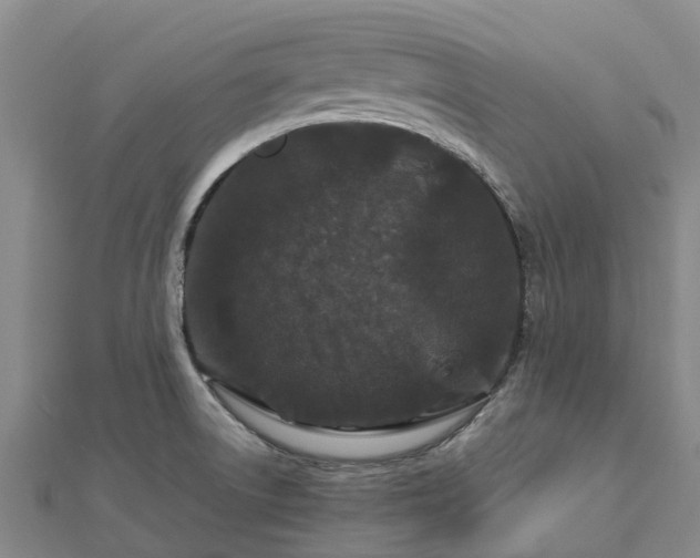 X0000113011522200909031303