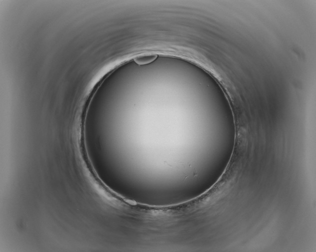 X0000113011523200909031303