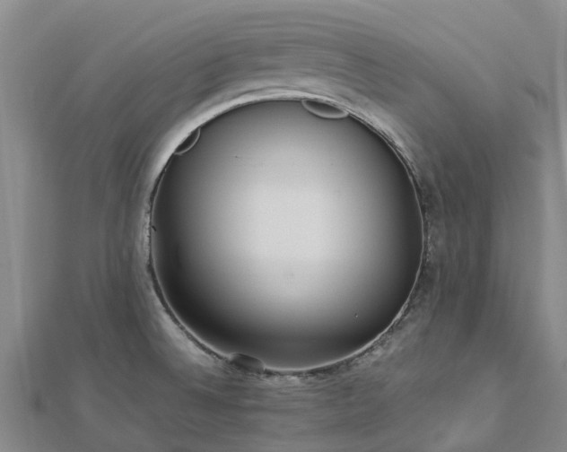 X0000113011524200909031303