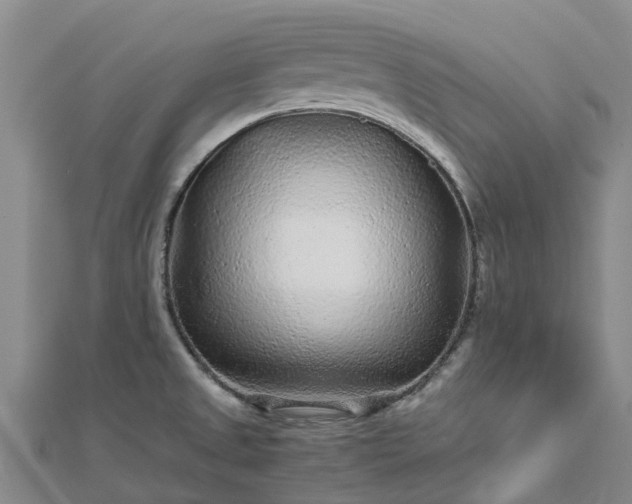 X0000113011525200909031303