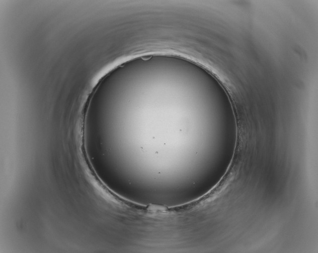 X0000113011526200909031303