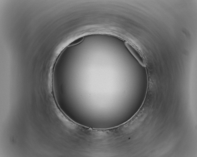 X0000113011528200909031303