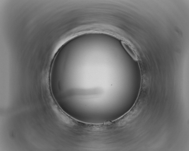 X0000113011530200909031303