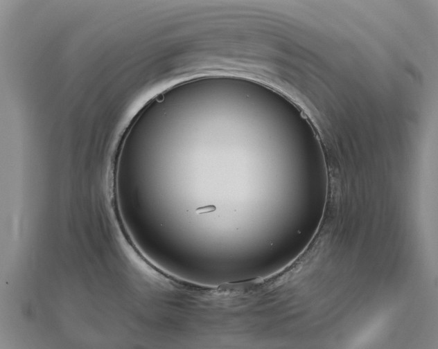 X0000113011531200909031303