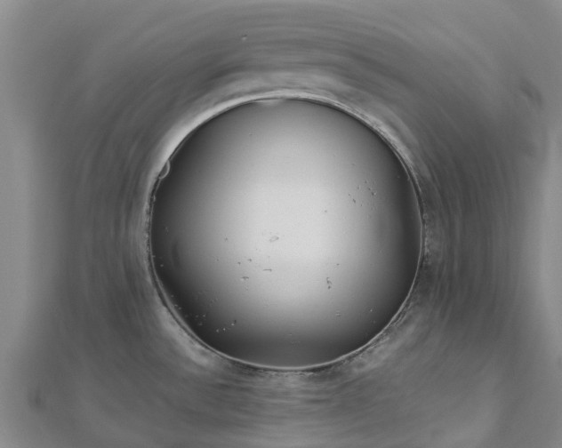 X0000113011532200909031303