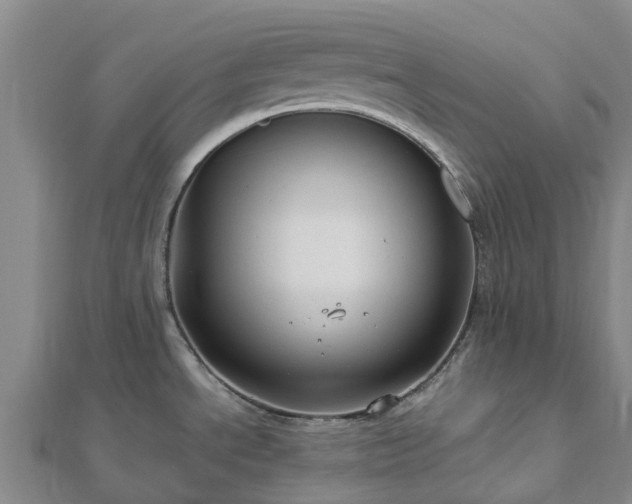 X0000113011534200909031303