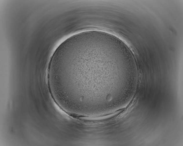 X0000113011535200909031303