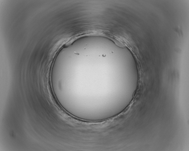 X0000113010001200909101827