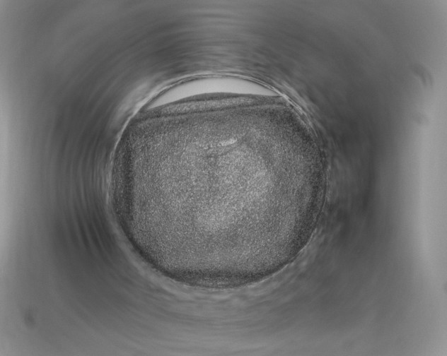 X0000113010002200909101827