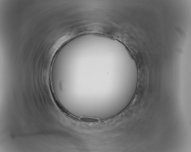 X0000113010003200909101827