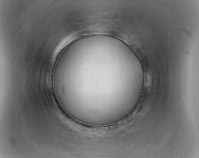 X0000113010004200909101827