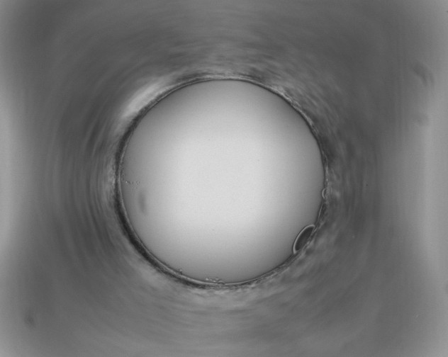 X0000113010005200909101827