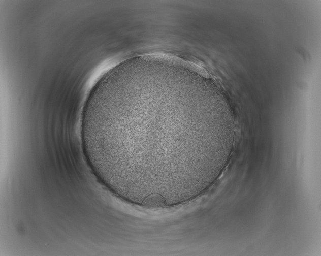 X0000113010006200909101827