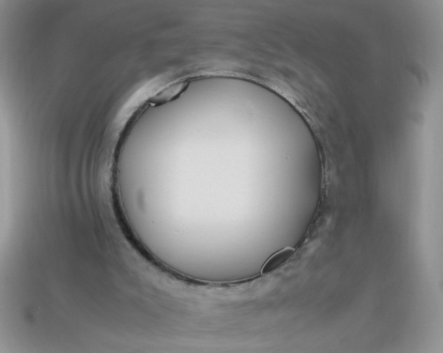 X0000113010007200909101827