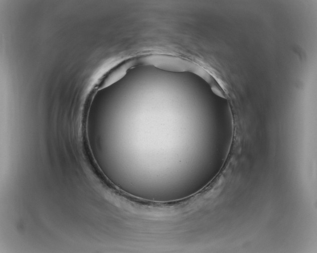 X0000113010008200909101827