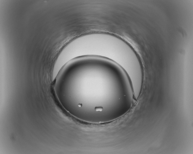 X0000113010009200909101827