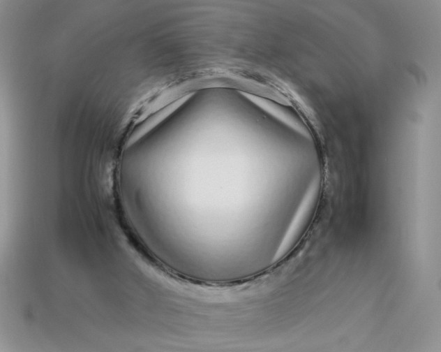 X0000113010010200909101827