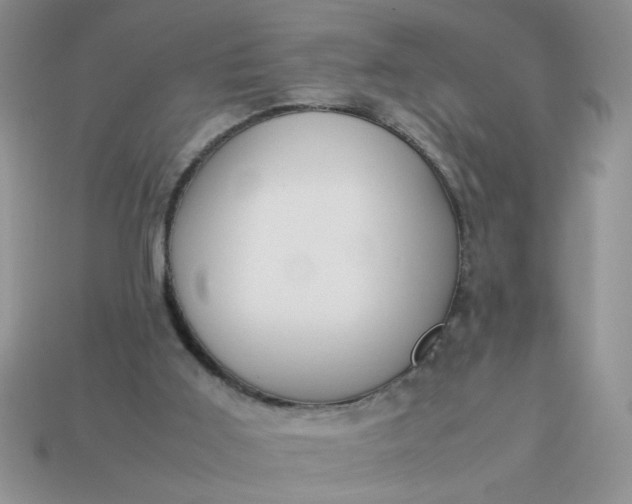 X0000113010011200909101827