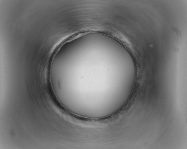 X0000113010012200909101827