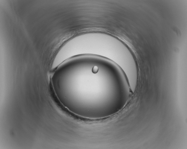 X0000113010013200909101827