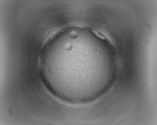 X0000113010014200909101827