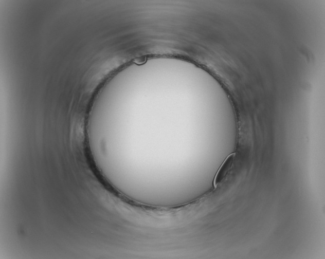 X0000113010015200909101827