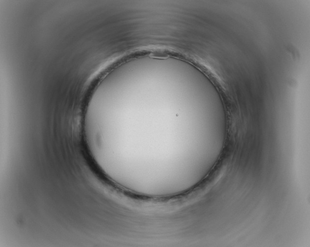 X0000113010016200909101827