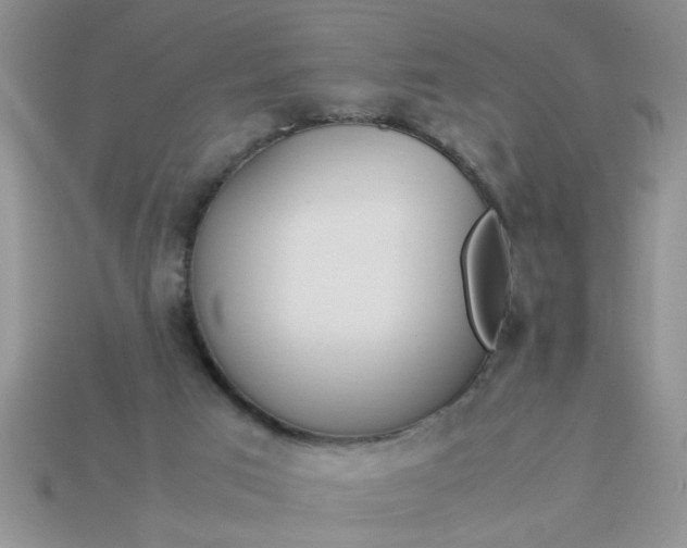 X0000113010017200909101827