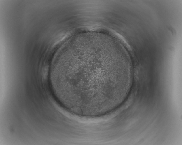 X0000113010018200909101827