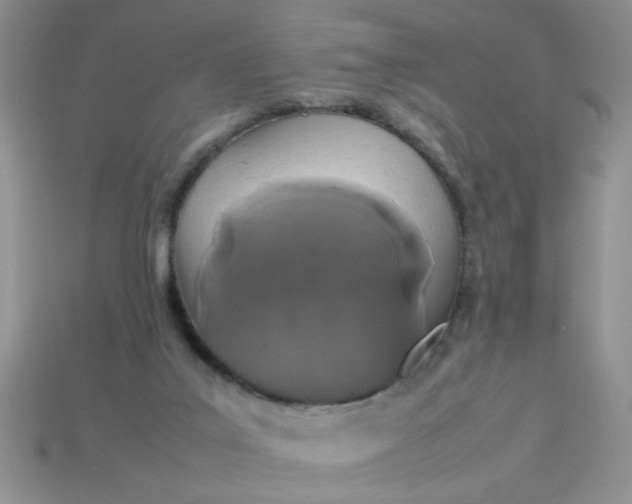 X0000113010019200909101827