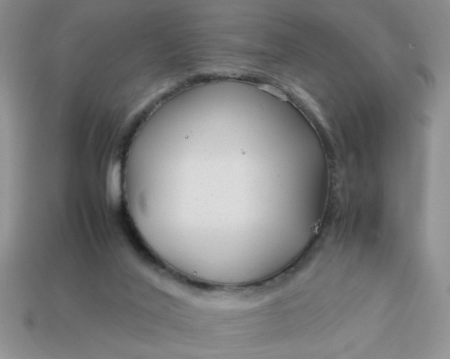 X0000113010020200909101827