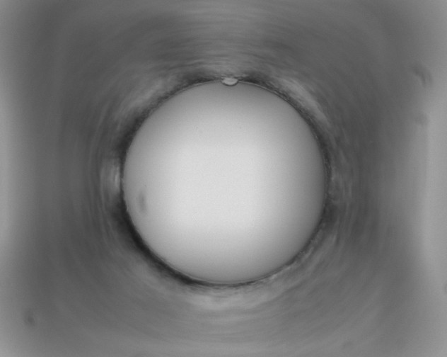 X0000113010021200909101827