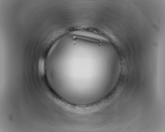 X0000113010022200909101827