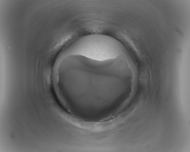 X0000113010023200909101827