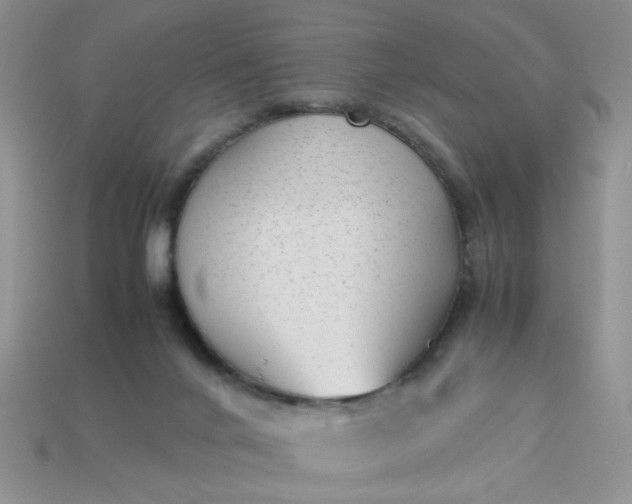 X0000113010024200909101827