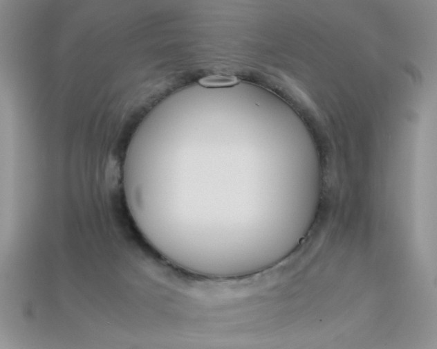 X0000113010025200909101827