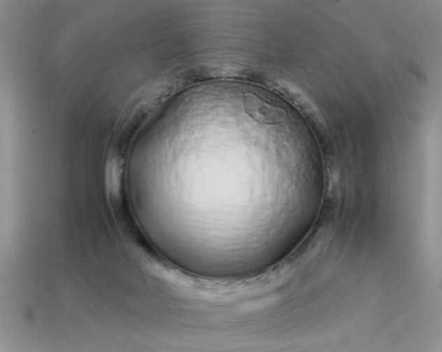 X0000113010026200909101827