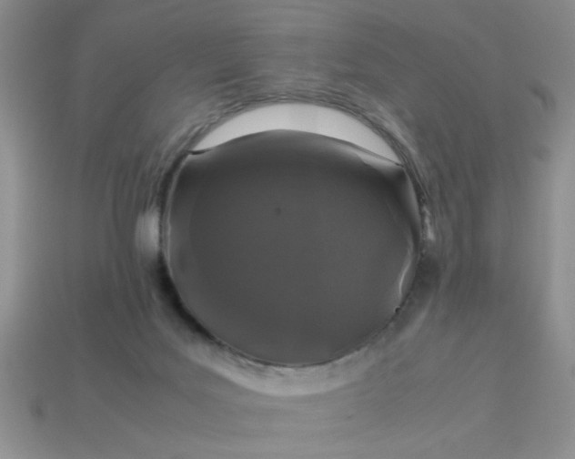 X0000113010027200909101827