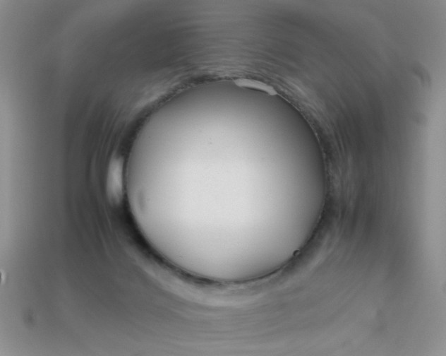 X0000113010028200909101827