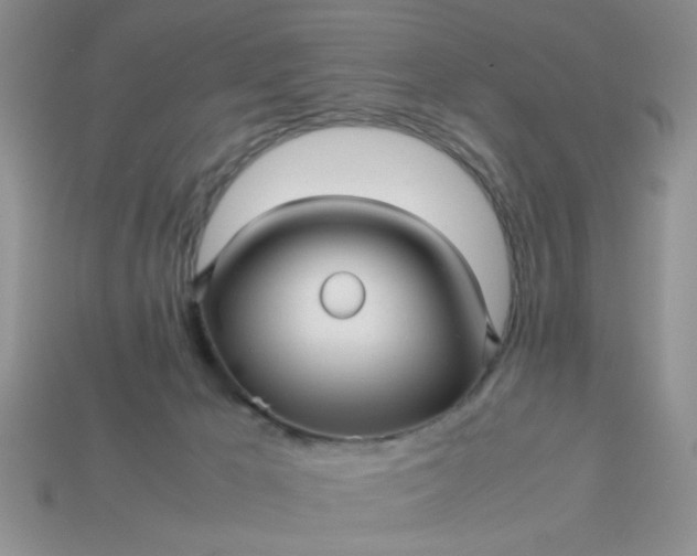 X0000113010029200909101827