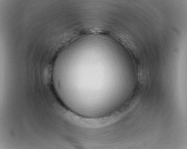 X0000113010030200909101827